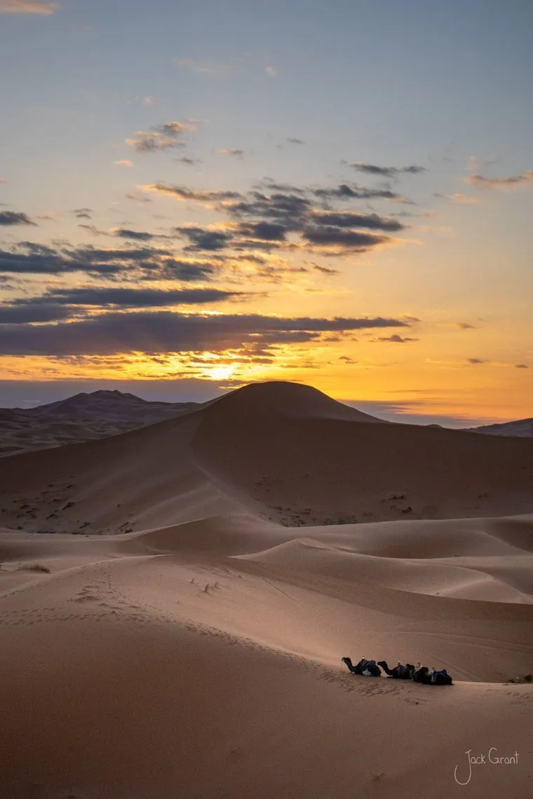 Camel train crossing the Sahara dunes under a wide evening sky, Morocco