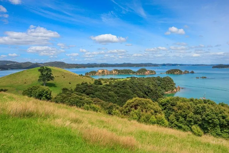Green headland looking out over the islands and blue water of the Bay of Islands, New Zealand