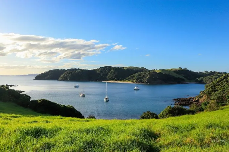 Yachts anchored in a sheltered bay seen from a grassy headland, Urupukapuka Island, New Zealand