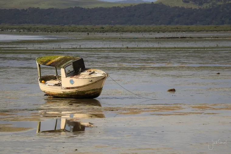 Old wooden fishing boat resting on the tidal flats at low tide, Far North, New Zealand